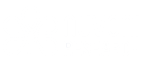 Nuvoni Centre for Innovation Research | Fostering Inclusive Development