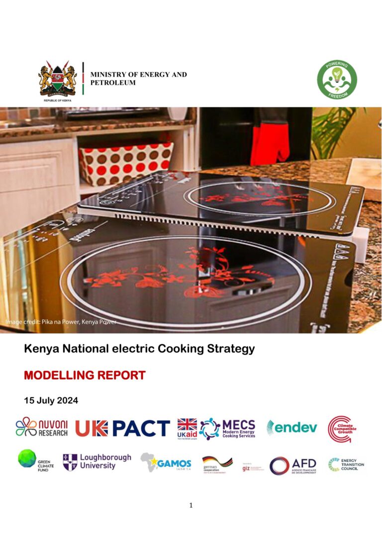 KNeCS Strategy Modelling Report
