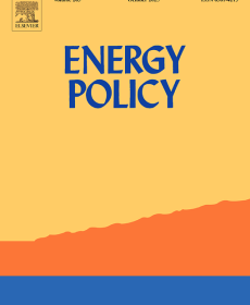 The political economy of least cost power planning in Kenya