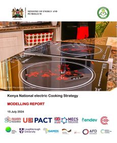 KNeCS-Strategy-Modelling-Report