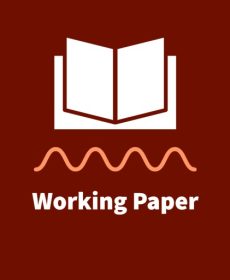 working-paper-tz